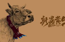 沪昆高速湖南段带动新晃黄牛产业,助力1.5万余人脱贫