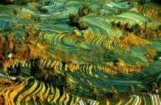 云南省开展粮食质量安全检验监测，不断提升粮食安全保障能力