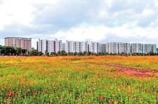 云南5G基站建成2.8万个，涌现上百个5G创新应用案例