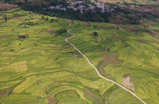 云南坚持典型引路示范带动凝聚合力 坚定实施好乡村振兴这个大战略