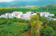 云南鹤庆金翅鹤村：以“民族团结进步+N”打造和谐村庄