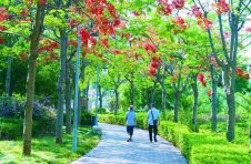 云南元谋深入推进国家卫生县城创建工作 描绘碧水蓝天新画卷