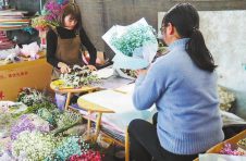 云南省通海县龚杨村：“玩转”干花花艺 乡村振兴有道