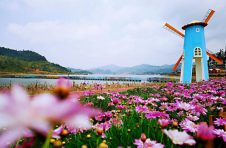 云南马关：打造“七彩”民族团结进步示范村寨