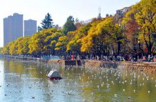 云南推进“整治乱象、智慧旅游、提升品质”旅游革命，正在勾勒“健康生活目的地”的新画卷