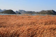 曲靖沾益海峰湿地：冬季风景低调独特