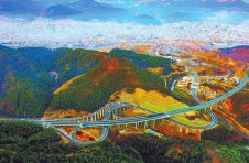 文山市古木镇老寨村张德翠：返乡创业带领村民奔富路
