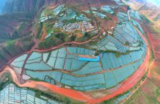 云南新平勐炳村：落实“双绑”促发展 提升产业效能