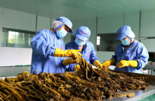云南阿依诺村：“酸菜书记”的新年新打算