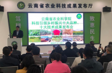 云南省农科院发布2022年十大新品种和十大新技术