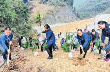 第44个植树节 云南各地爱绿植绿护绿 共建美丽家园