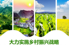 壮大农业市场主体助力乡村振兴！云南实有农民专业合作社6.64万户