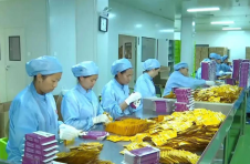 云南楚雄州：全力打造“滇中药谷”