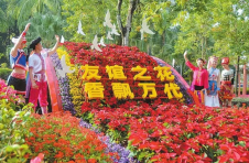 德宏芒市打造宜居宜业生态田园城市