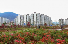 云南昭通巧家移民安置区52万平方米花海景观初见雏形