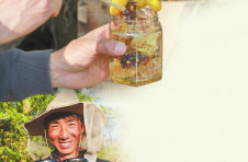 云南罗平：追花采蜜 生活美