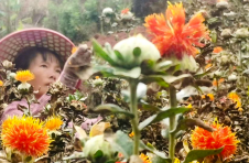 云南镇沅：小小红花托起村民致富梦