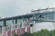 晒出来的小幸福 昆明探索多种“光伏+”运用场景