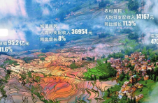 云南元阳：共筑民族团结幸福家园