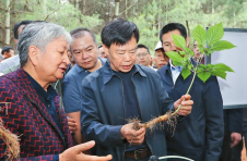 云南中药材产业绿色发展论坛举行