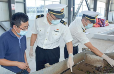 云南坚果出口带动乡村振兴