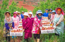 云南文山市：移民群众过上幸福生活！