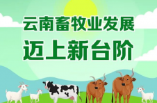2021年云南省猪牛羊禽肉类总产量达486.7万吨