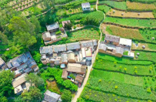 昆明东川：“红色村庄”树桔村的幸福变迁