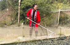 云南西盟：小牛蛙“蹦出”幸福生活的春天