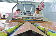 云南绥江：网络直播助李子打开市场