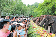 “世界大象日”活动在云南西双版纳举行