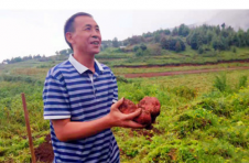 昆明东川李子沟成乡村振兴“幸福沟”