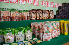 云南临沧：小坚果成边疆致富大产业