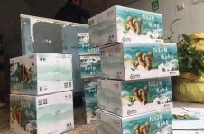 云南南华：菌香朵朵惹人爱