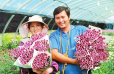 云南红河开远市羊街乡：“多点开花”产业兴