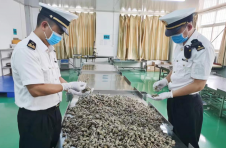 RCEP助力云南文山三七出口享惠