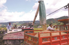 大理漾濞：沃野遍地是“丰”景 “农”墨重彩谱新篇