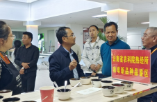 云南咖啡家族迎来新成员 2个本土培育新品种正式亮相